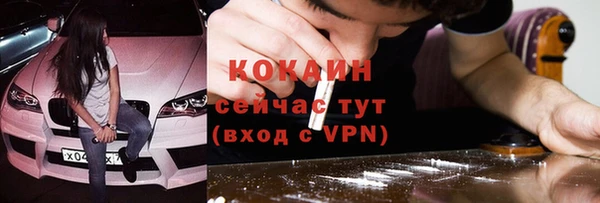 соль ск Пестово