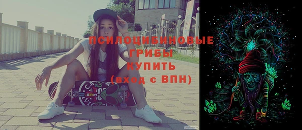 соль ск Пестово