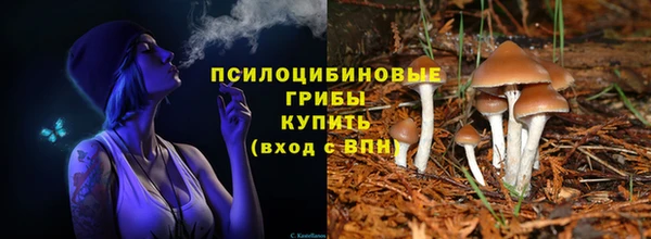 соль ск Пестово