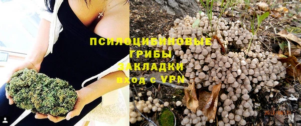 соль ск Пестово
