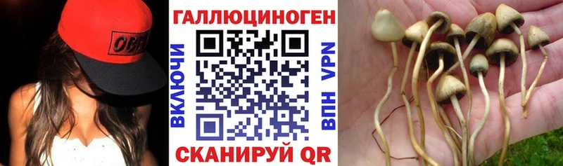 Галлюциногенные грибы MAGIC MUSHROOMS  магазин  наркотиков  shop как зайти  Волжск 
